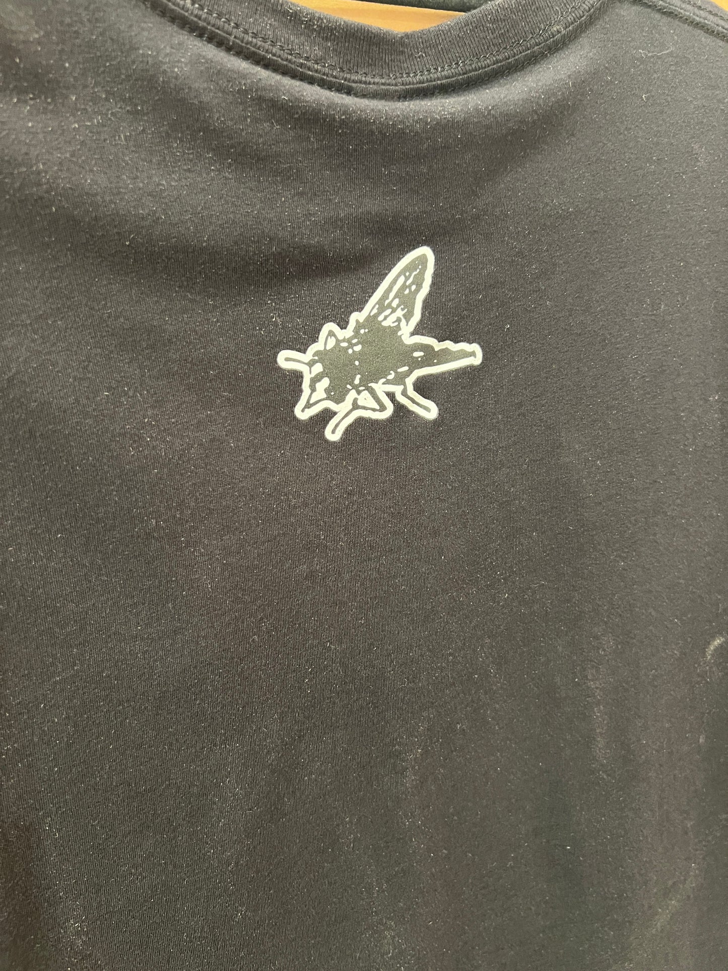 Mystic Frog Women's T Shirt